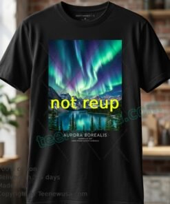 Vintage Usa Northern Lights Aesthetic Graphic Tee