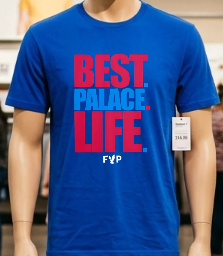 Best Palace Life Shirt - blue-shirt Best Palace Life Shirt Blue Shirt